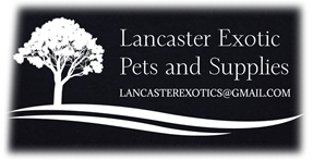 Lancaster Exotic Pets and Supplies
